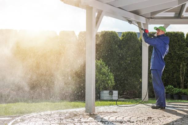Best Gutter Cleaning  in Goshen, IN